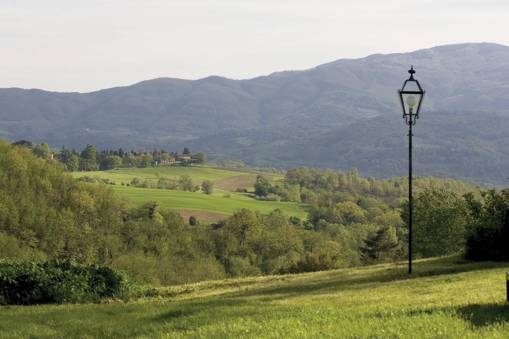 Tenuta Il Cerro Викио Стая снимка